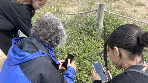 Since the project began, more than 5,200 observations of 599 species have been collected / BioPlatgesMet.
