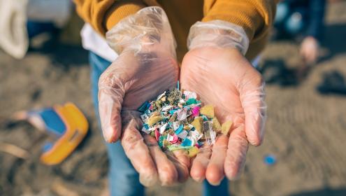 Natural bioremediation strategies are emerging as a promising alternative to reduce the impact of plastic waste in the sea / iStock.