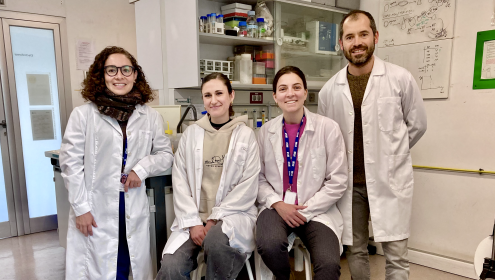 The picture shows, from left to right, doctoral students Cinthya Vieyra and Maryam Mohamed, postdoctoral student Elena Cerdán and the group's principal investigator, Francisco Cornejo / ICM-CSIC.