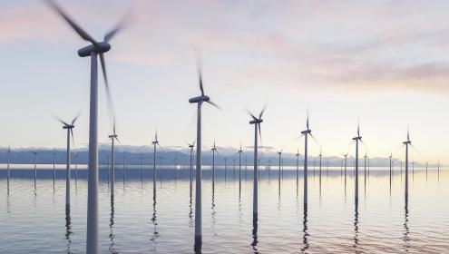 The effectiveness of this tool has been demonstrated by its application in the assessment of the marine spatial plans of the Bay of Biscay / Windmill Project cross-border area.