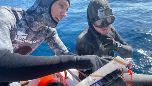 The project is based on the hypothesis that fear can be an ecological factor with important implications when designing conservation strategies and environmental policies. / ICM-CSIC.