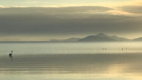 Upon reaching the coastal zone, conditions become optimal for the formation of methylmercury, the most toxic form of this metal / ICM-CSIC.