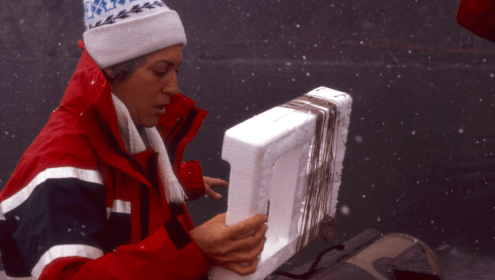 Nascuda a Barcelona l’any 1935, Josefina Castellví es va llicenciar en Biologia a la Universitat de Barcelona i es va doctorar l'any 1969 / ICM-CSIC.