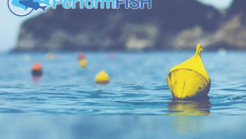 L’ICM participa en PerformFISH: un projecte europeu per garantir la sostenibilitat de l'aqüicultura mediterrània.