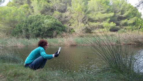 Andrea Bravo, jove investigadora de l'ICM, rep el premi Raymond L. Lindeman 2019
