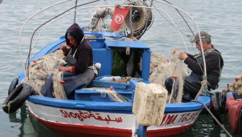 Canvi climàtic i invasions biològiques: la mirada dels pescadors artesanals de la Mediterrània