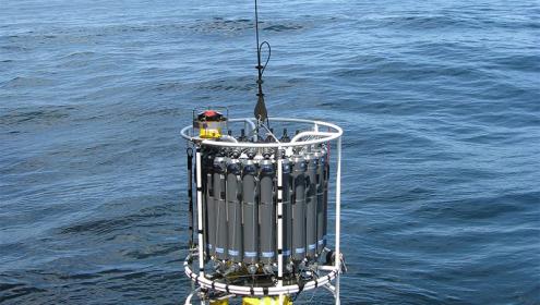 Científics del CSIC detecten increments inesperats de carboni orgànic dissolt en l'oceà Atlàntic