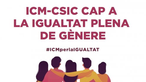   ICM towards gender equality