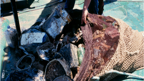An international study reveals the extent of marine litter problem: in some points of the Mediterranean scientists extracted more litter than biomass