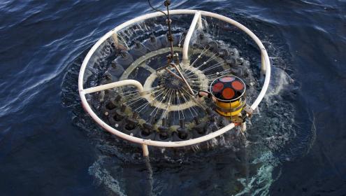 Most of the organic nitrogen in tropical oceans comes from deep water