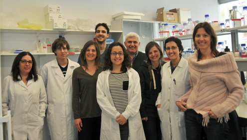 Jacumar Aquaculture Research Award to Francesc Piferrer.