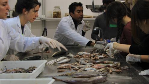 Más de 500 personas visitan el centro durante esta edición de la Semana de la Ciencia