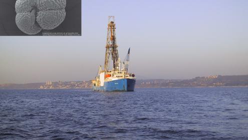 The analysis of microfossils from marine sediments indicates that the deep ocean would have been a potential CO2 storage during the last glacial