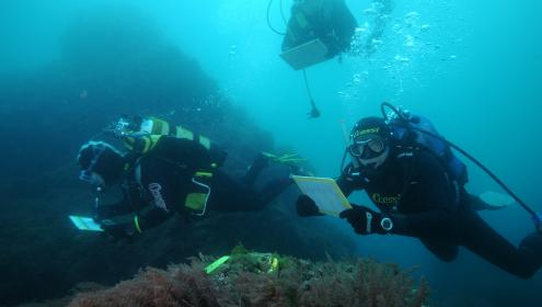 Voluntarios durante una salida al mar para aprender muestreos de seguimiento de gorgonias en Mayo 2013, Islas Medas. Foto: Luca Saponari