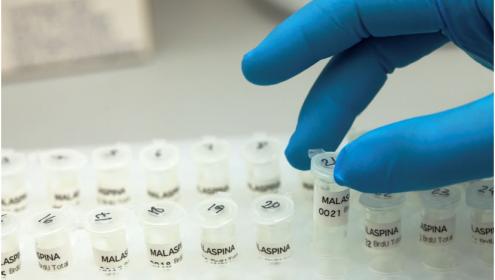 A new ICM’s project will track the gene activity of microbes able to decompose pollutants