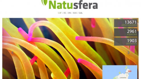 Natusfera celebra un any amb gairebé 2.000 usuaris i 13.600 observacions