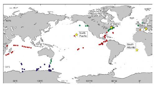 Un estudio publicado en PNAS revela que las bacterias han reducido su genoma para adaptarse al medio oceánico