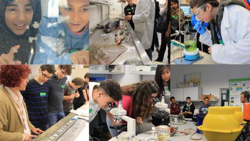 Éxito de participación durante las puertas abiertas al ICM en ocasión de la 19a Semana de la Ciencia
