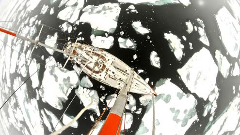 El catàleg global del plàncton marí de Tara Oceans arriba als pols