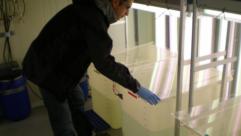 Bacteria in the sea are sensitive to ocean acidification caused by carbon dioxide emissions