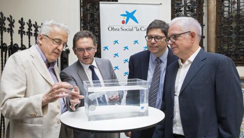 El ICM participa en un programa pionero para prevenir y minimizar las repercusiones clínicas y socioeconómicas de las medusas en el Mediterráneo