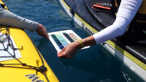 Kayak clubs offers their collaboration to ICM’s research