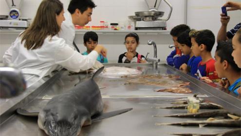 L’Institut de Ciències del Mar participa de nou en el programa educatiu Magnet