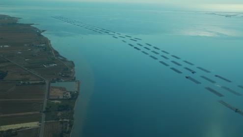 The ICM participate in a European project that aims to develop automatic sensors controlling pollutants and algae toxins in real time.