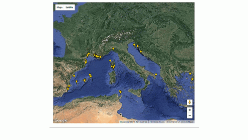 Projects related to the climate change at the ICM