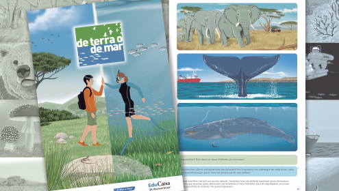 Còmic “De terra o de mar. Un viatge per descobrir i conèixer els oceans amb la imaginació”