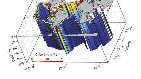 New findings highlight the importance of plankton as a climate controller