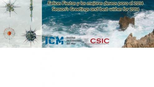 The ICM wishes you an Happy New Year!