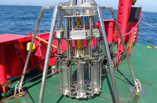 Per a l’elaboració de l’estudi es van analitzar testimonis de sediment obtinguts a profunditats d’entre 80 i 1150 metres / Desiree Palomino (IEO). 
