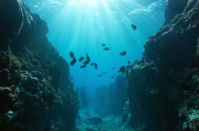 La planificació marítima pot esdevenir una pedra angular de l’acció climàtica global basada en l’oceà / iStock.