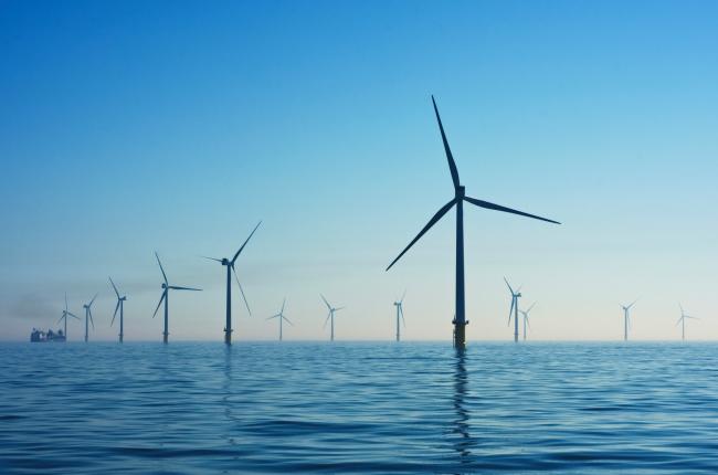 Les expertes i experts aboguen per una bona planificació del territori per a conservar les àrees de més valor ecològic / Nicholas Doherty (Unsplash).