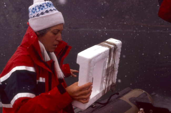 Nascuda a Barcelona l’any 1935, Josefina Castellví es va llicenciar en Biologia a la Universitat de Barcelona i es va doctorar l'any 1969 / ICM-CSIC.