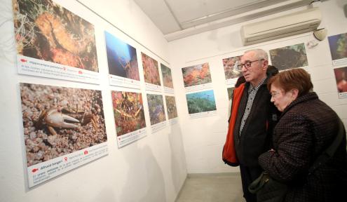 expo biomarató expo biomarató